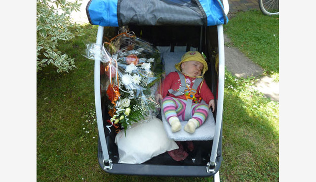 Kinderanhaenger mit Baby Chariot Transporttasche