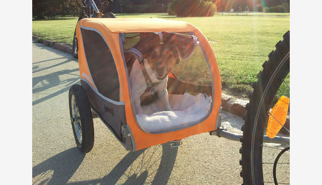 Croozer Hundeanhaenger orange