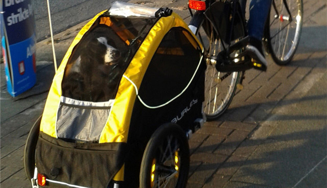 Kundengalerie BIKEBOX Fahrradanhänger