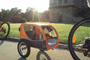 Croozer Hundeanhaenger mini